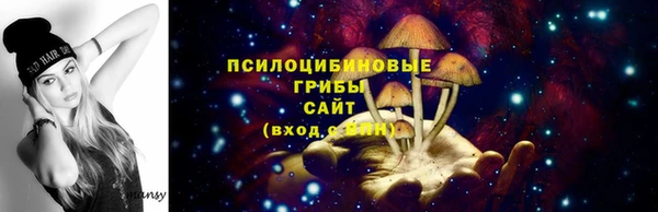 трава Аркадак