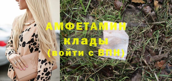 трава Аркадак